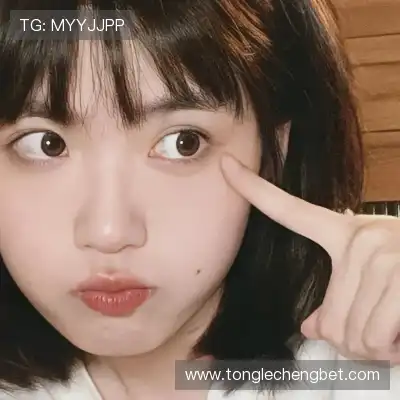 嵇蒙飚